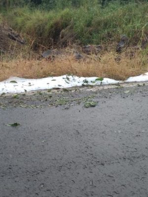 Sul Brasil - Granizo