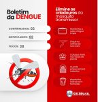 boletim dengue - sul brasil