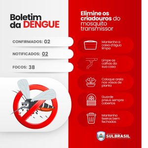 boletim dengue - sul brasil