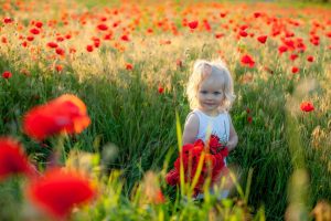 Imagem de VIKTOR KONDRATIUK por Pixabay