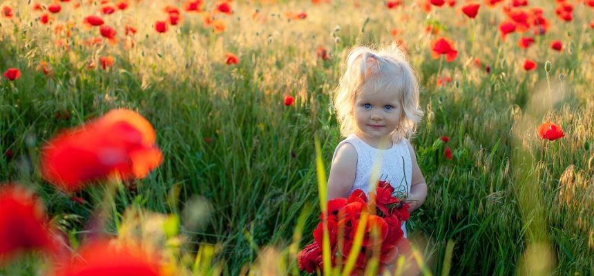 Imagem de VIKTOR KONDRATIUK por Pixabay