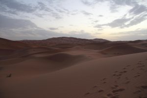 Imagem de kanlayanee assanee por Pixabay