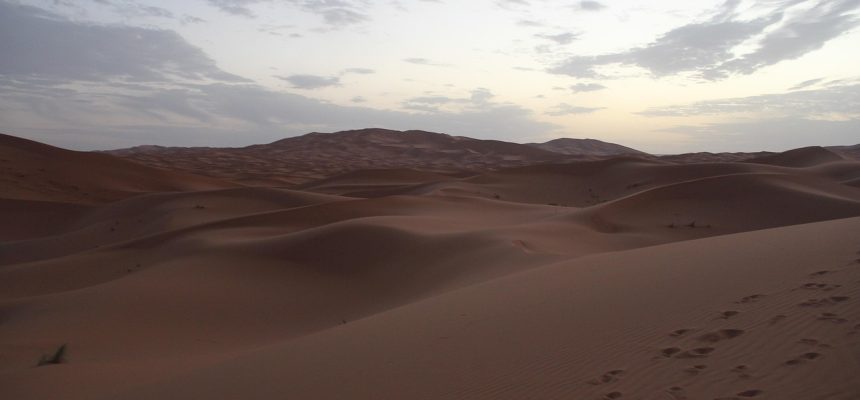 Imagem de kanlayanee assanee por Pixabay
