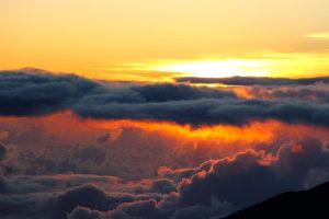 Imagem de Pexels por Pixabay
